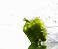 Grüne Paprikaschote, von Wasser umspült
