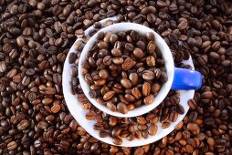 Coffee beans in and around cup and saucer