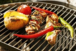 Pork kebabs and vegetables on barbecue rack