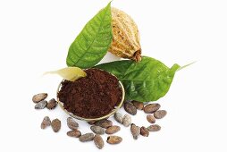 Kakaopulver, Kakaobohnen, Blätter und Kakaofrucht