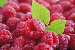 Fresh raspberries with leaf (close-up)