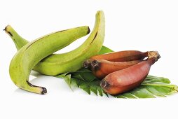 Two plantains and bunch of red bananas on leaf, close-up