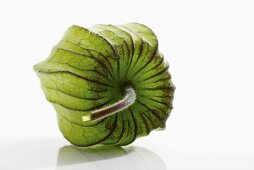 Unripe Physalis fruit (Physalis peruviana), close-up