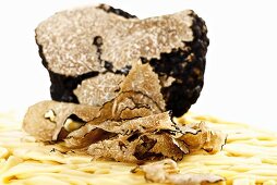 Pasta with Sliced Truffles