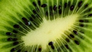 A slice of kiwi (close up)
