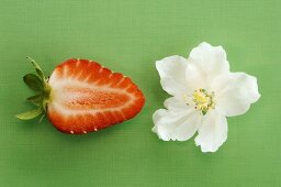 Sliced strawberry by blossom