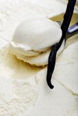 Vanilla icecream on ice cream scoop, close-up