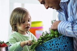 Father and son examining fresh herbs in kitchen