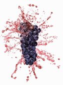 Red grapes with juice splash