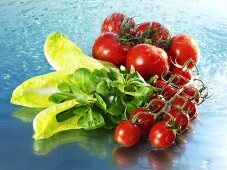 Tomaten, Feldsalat und Romanasalat mit Wasser