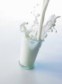 Pouring milk into a glass