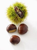 Sweet chestnuts, with and without prickly case