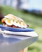 Sandwich with cucumber salsa and egg slices in plate
