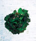 Grüner Blattsalat auf neu- tralem Untergrund liegend