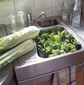 Zwei Chinakohlköpfe liegen neben einer Spüle,Salat liegt in der Spüle