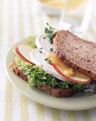 Käse-Sandwich mit Apfelscheiben, Vollkornbrot, Blattsalat