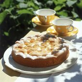 Aprikosenkuchen mit versunkenen Früchten auf einer Kuchenplatte