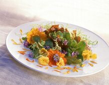 Gemischter Blüten-Salat-Lavendel, Ringelblumen,Rosmarin,Schlüsselblume