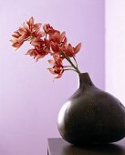 Kalebasse mit einem Orchideenzweig 
