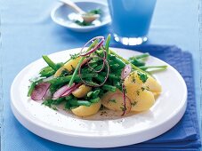 Kartoffelsalat mit grünen Bohnen, roten Zwiebelringen,Petersilie