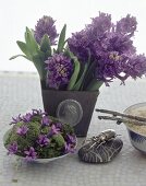 Lilafarbene Hyazinthen im Metalltopf + Teller mit Blüten- Moos-Gesteck