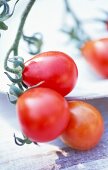 Close-up of fresh cherry tomatoes on vine