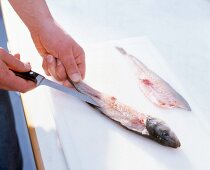 Fish being filleted with knife