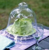 Close-up of wine glass and lettuce on plate covered with glass bell jar