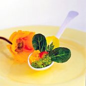 Feiner Paprika-Salat im KeramikLöffel angerichtet