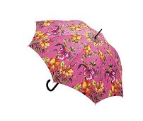 bunter Regenschirm mit Blumen-Motiv, Freisteller