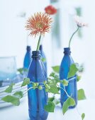 Blue water bottles wrapped with flower tendrils, inside single gerberas