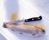 Raw trout on vegetable strips with knife and lemon wedge