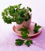 Close-up of krause and parsley in pink cup