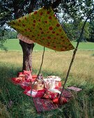 Picknick-Stillleben 
