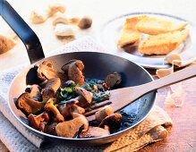 Porcini and chanterelle mushrooms with garlic in pan