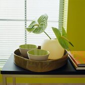 Two bowls and vase on ceramic tray against window
