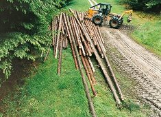 gefällte Bäume beim Abtransport, Wald, auf Gut Hohenhaus Thüringen