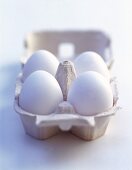 4er Eierkarton weiße Eier   X 