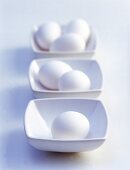Eggs in three bowl on white background