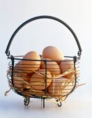 Brown eggs in wire basket on white background