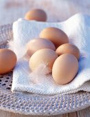 Brown eggs with feathers on cloth