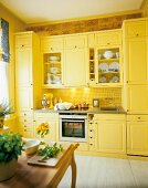 Kitchen with yellow cabinet