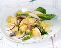 Matjes salad with curry and ginger sauce on plate
