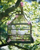 Two white pigeons in cage hanging from tree branch