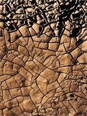 Close-up of parched earth symbolizing drought
