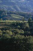 View of hills with lush in Styria, Austria