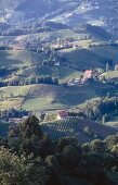 View of hills with lush in Styria, Austria