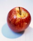 Close-up of red apple on white background
