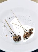Close-up of dried primula veris on plate