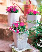 White flower pots made of fibre cement